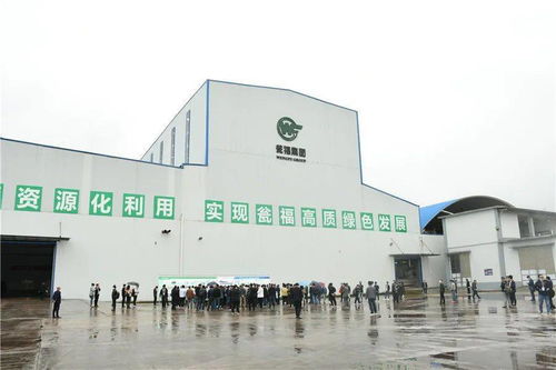 石膏新紀元 走進優質石膏工廠，見證機械化施工的力量